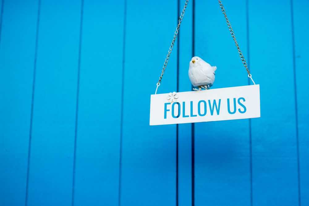 use twitter to grow your business